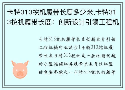 卡特313挖机履带长度多少米,卡特313挖机履带长度：创新设计引领工程机械行业进步